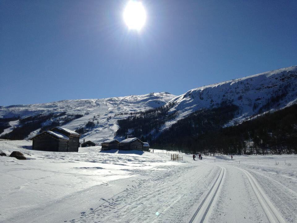 הוילה Stuttgongfossen Lemonsjoen-Jotunheimen-Besseggen מראה חיצוני תמונה