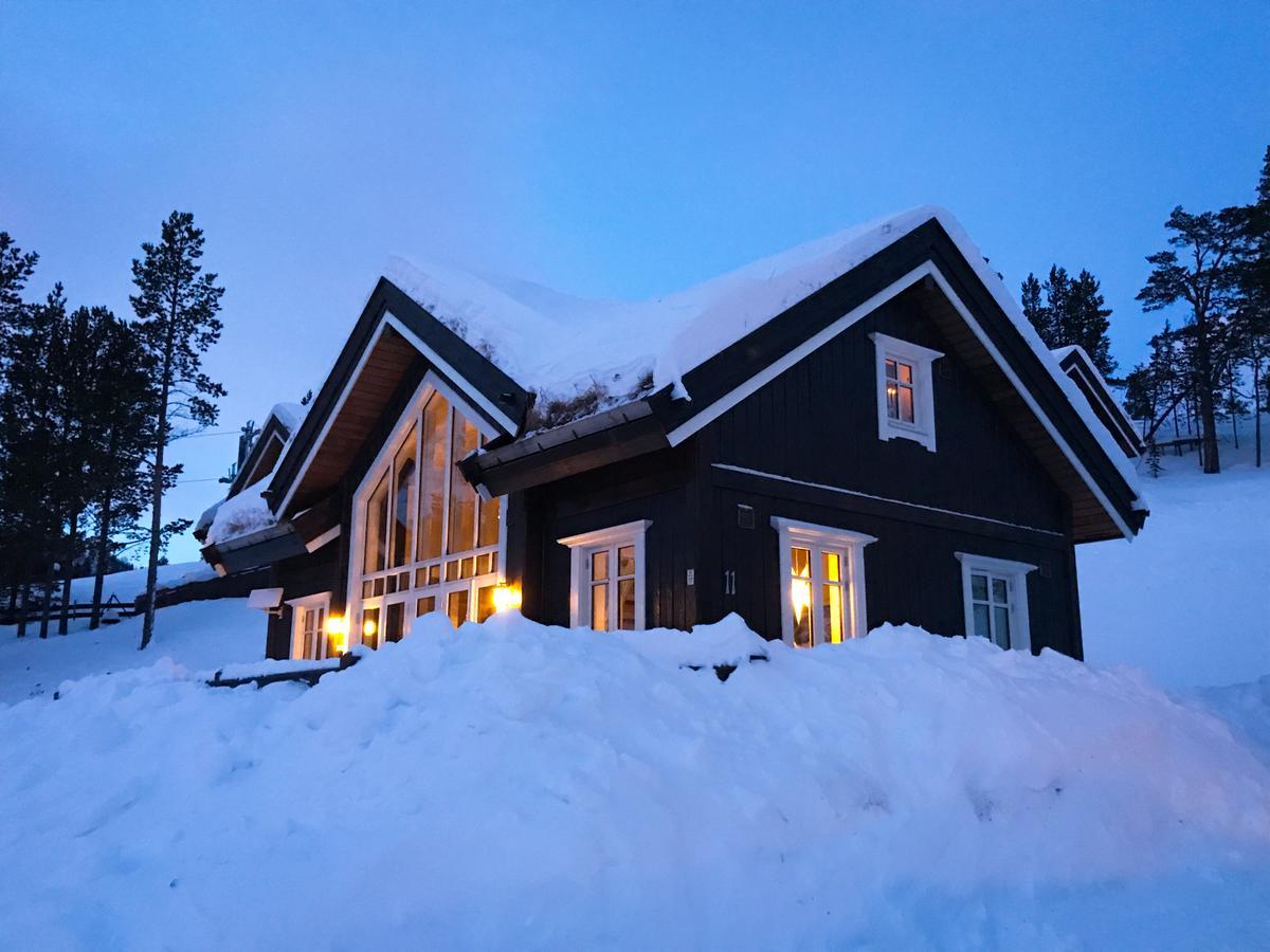 הוילה Stuttgongfossen Lemonsjoen-Jotunheimen-Besseggen מראה חיצוני תמונה